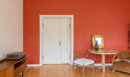 Modèle porte en bois pour votre intérieur